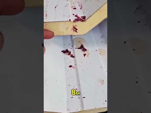 Панели для крыши. #ремонтвдоме #находки #вседляремонта