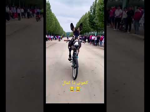 کھوتے دا کمال #shortvideo  #fuuny 😂😂