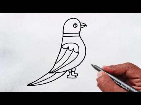 How to draw parrot step by Step | Easy parrot drawing for beginners | parrot drawing tutorial