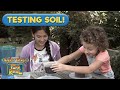 Understanding Soil and Plant Growth