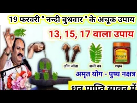 19 फरवरी नन्दी बुधवार उपाय | शहद और शमी पत्र का उपाय | pradeep mishra budhwar ke upay