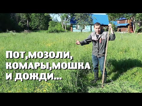 Жизнь в деревне заставляет нервничать!