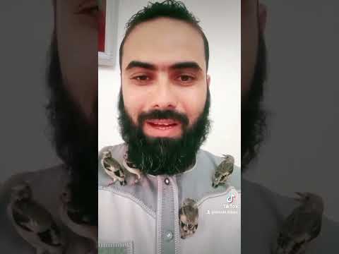 كلام موجه لمربين المقنين والطفرات