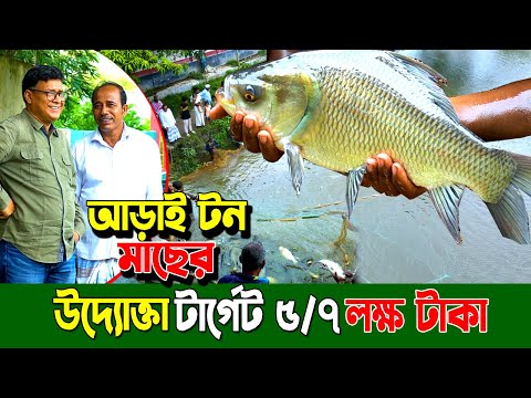 ১ বছরের মাছ আড়াই মাসে বৃদ্ধি। কম খাবার খরচে। ব্রাহ্মণবাড়িয়ার উদ্যোক্তা