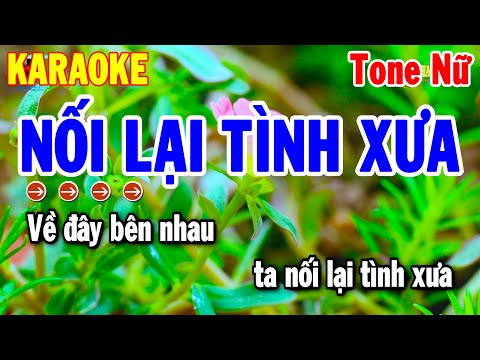 Karaoke Nối Lại Tình Xưa Tone Nữ Nhạc Sống Cha Cha Mới Dễ Hát 2025 | Thanh Hải