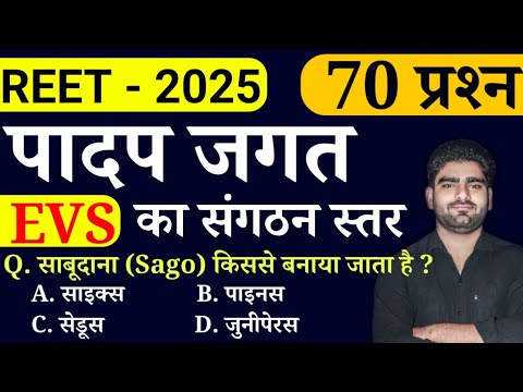 REET पादप जगत का संगठन स्तर || पर्यावरण अध्ययन || REET - 2025 || Online study with dk