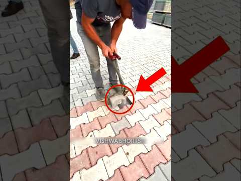 Looks Like Stealing… But..? #shortvideo