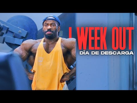 1 WEEK OUT || EN LAS ÚLTIMAS