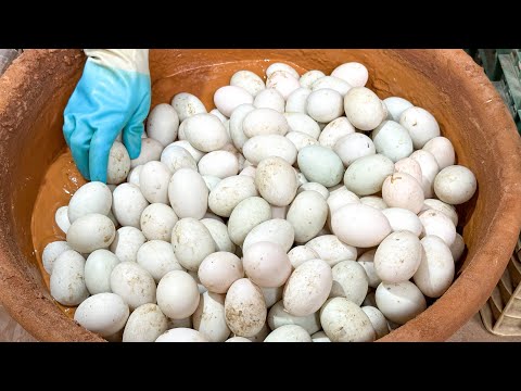 How Salted Duck Egg Are Made? 鹹蛋達人！紅土鹹蛋製作, 紅仁鴨蛋的故鄉 - Taiwanese Traditional Food