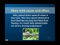 Exploring Cause and Effect Text Structure