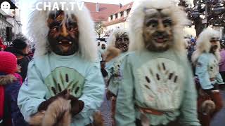 Grosser Narrensprung: Langenargen am Bodensee, 19.01.2020