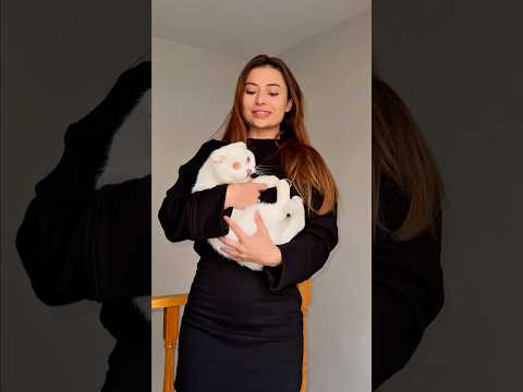 Arkadaşımın kedisiyle tanışınnn adı Mercedes😻birlikte globalde viral olan dans akımını yaptık 🥹