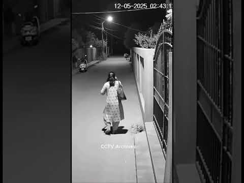 shocking cctv footage of animal attack