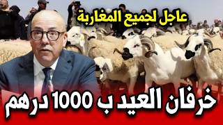 عاجل للمغاربة اغنام العيد 1000 درهم بالمغرب شاهد ما قاله الوزير قبل قليل
