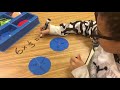 Understanding Fractions and Multiplication