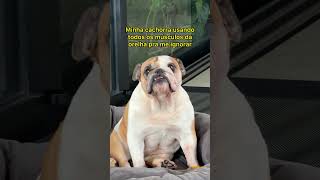 IGNORADO COM SUCESSO