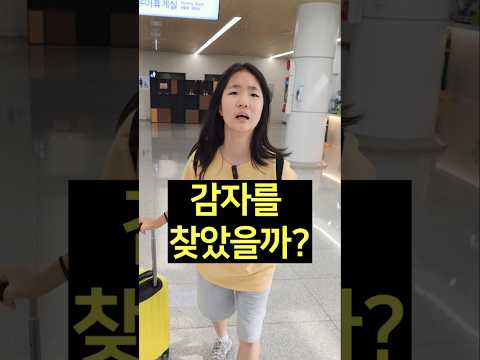 잃어버린 감자, 식당에 아직 있을까?