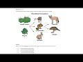Understanding Variables and Scientific Concepts
