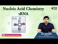 tRNA Structure and Function Assessment