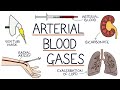 Blood Gas Analysis and Acid-Base Balance
