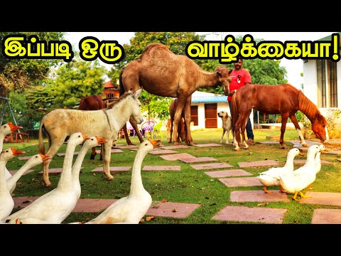 தனக்கென ஒரு காடு - Naveen Garden | Eco Tourism