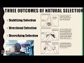 Natural Selection and Phenotype Variation