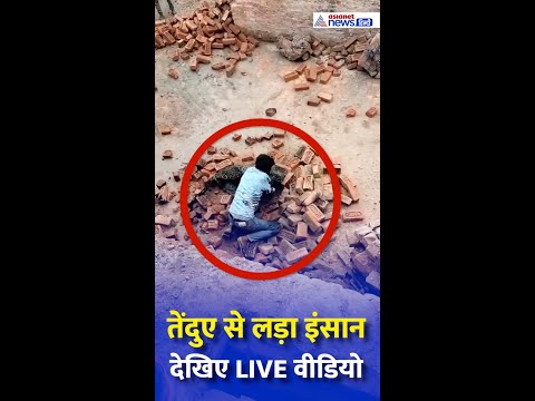 Lakhimpur में तेंदुए और मजदूर में भयानक फाइट | लोग चिल्लाते रहे और वो करता रहा ढिशुम–ढिशुम