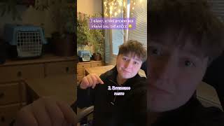 TOP 3 dárky pro kočku 😎🎁