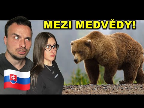 SPÍME 💤 mezi MEDVĚDY 🐻 na SLOVENSKU! 😨🏴󠁳󠁫󠁰󠁶󠁿