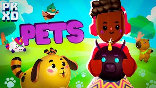 All About PETS in PK XD! 🐶✨ | How to Get, Feed, and Evolve Your Pet!