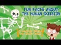 Human Anatomy: Bones and Functions