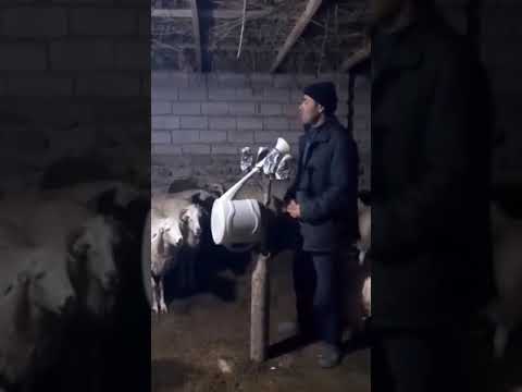 Когда платно обучаешь бизнесу и вокруг тебя те которые у тебя купили курсы  #automobile #бизнес