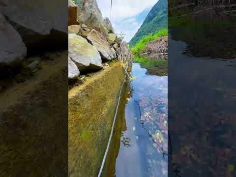 the beauty of nature - You didn't think it was that beautiful 809th clip #satisfying