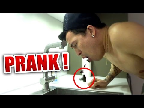 Der EKEL-OREO PRANK !