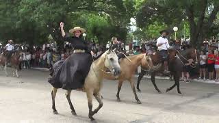 Desfile de paisanos a caballo Fiesta del Ternero Sauceño 2025