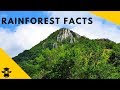 Background Music in Video Structure