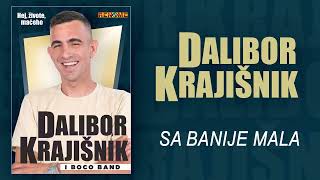 Dalibor Krajisnik - Sa Banije mala (Audio 2025)