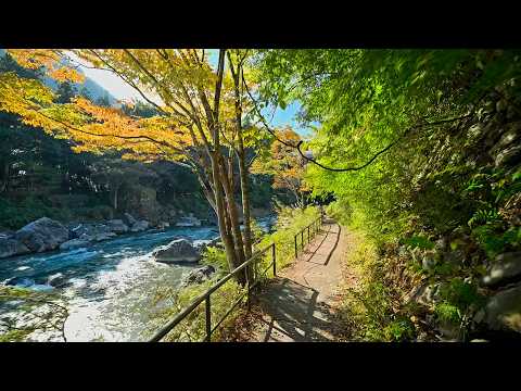 Walking in Tokyo Mitake Valley・4K HDR (fixed)