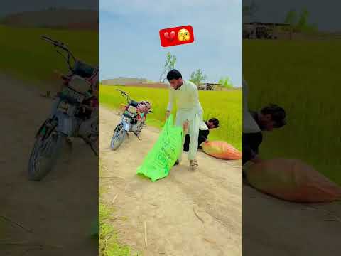 Afaoos insan berahim ho gy kise kise ?#trending #ytshorts #sad #islam