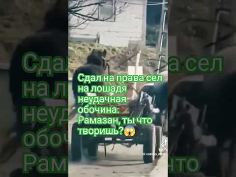 12000000лямов. просмотров. рамазан, ты где?