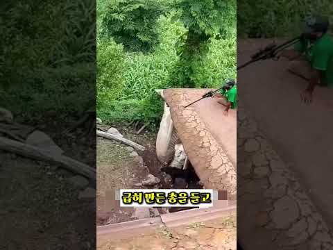 저격수가 표범을 노렸던 이유
