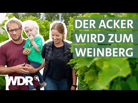 Weinanbau in NRW? Ein Winzer wagt das Experiment am Niederrhein | Unsere eigene Farm | WDR