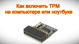 Как включить TPM на компьютере или ноутбуке
