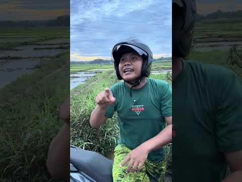 petugas ngaret pembohong #shortvideo #shortviral