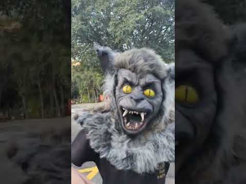 FUI ATACADA PELO LOBO MAU 😱🤣🤣
