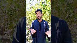 الايمان والعلم 1 سرار الكون #العلم والايمان