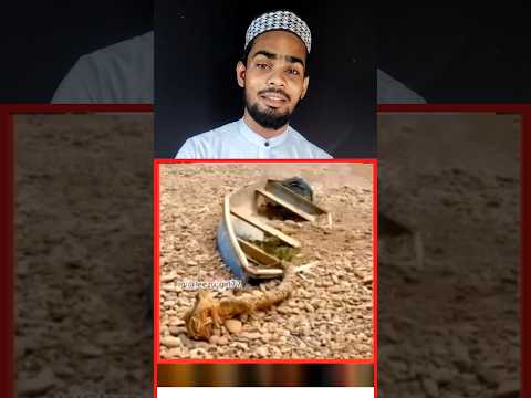 मेरी कश्ती वहां डूबी जहां पानी कम था #islamicshorts #allah #shortvideo #trending #viral #viralshorts