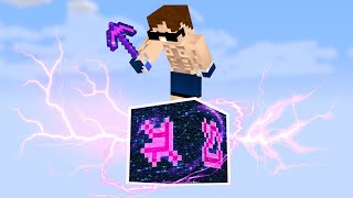 Minecraft ama TEK ÖLÜMSÜZ BLOK!