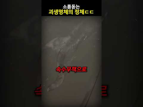 소름돋는 괴생명체의 정체..