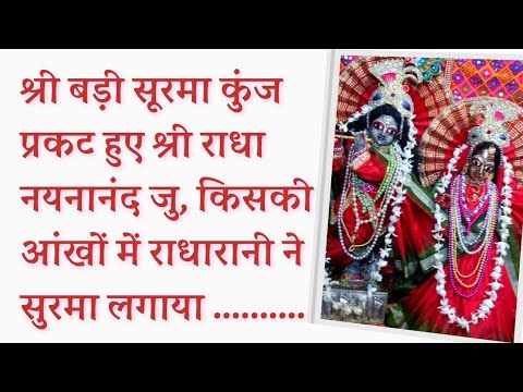 बड़ी सूरमा कुंज कहाँ से प्रकट हुए श्री राधा नयनानंद जु कहाँ विराजते है श्रीराधानयनानंद जू  27.12.2024